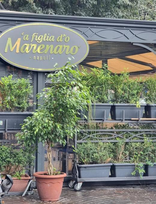 Casa Comoda E Centrale In Quartiere Storico Di Napoli מראה חיצוני תמונה